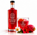 Canarias cactus gin 700ml